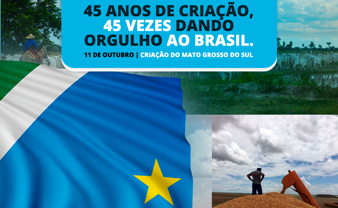 11 de outubro, a criação do Mato Grosso do Sul